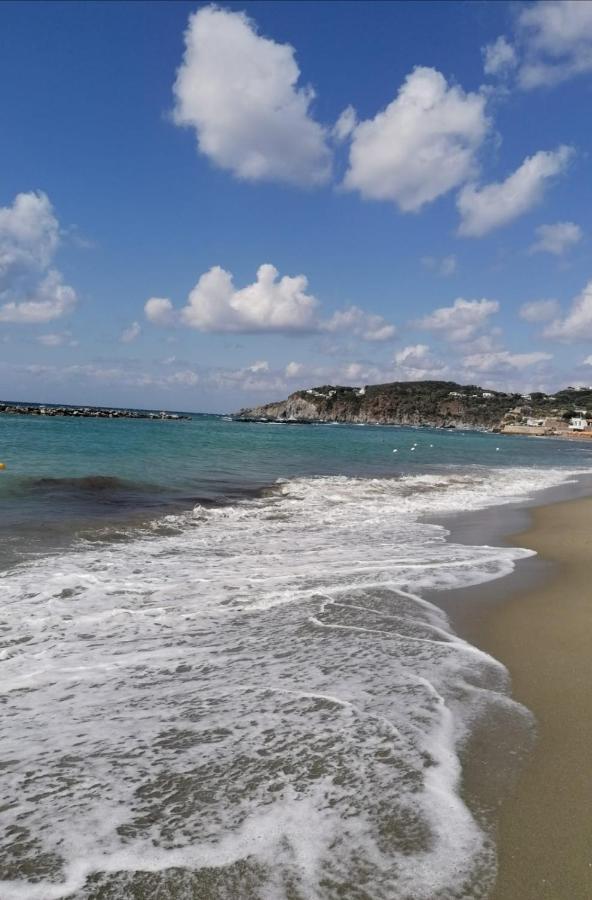 Bed and Breakfast La Bicocca di Annavì Forio di Ischia Esterno foto