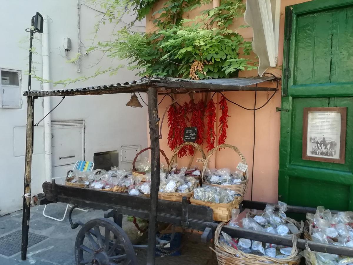 Bed and Breakfast La Bicocca di Annavì Forio di Ischia Esterno foto