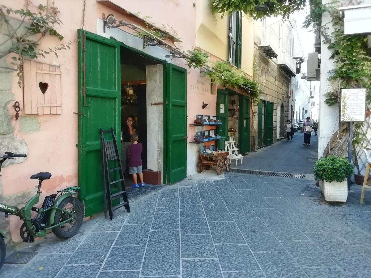 Bed and Breakfast La Bicocca di Annavì Forio di Ischia Esterno foto