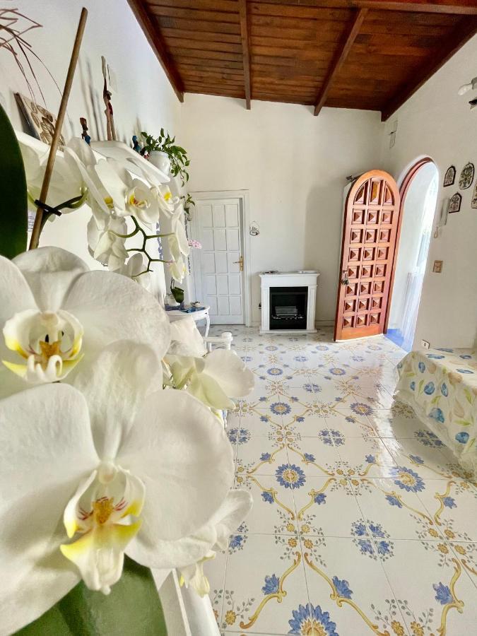 Bed and Breakfast La Bicocca di Annavì Forio di Ischia Esterno foto
