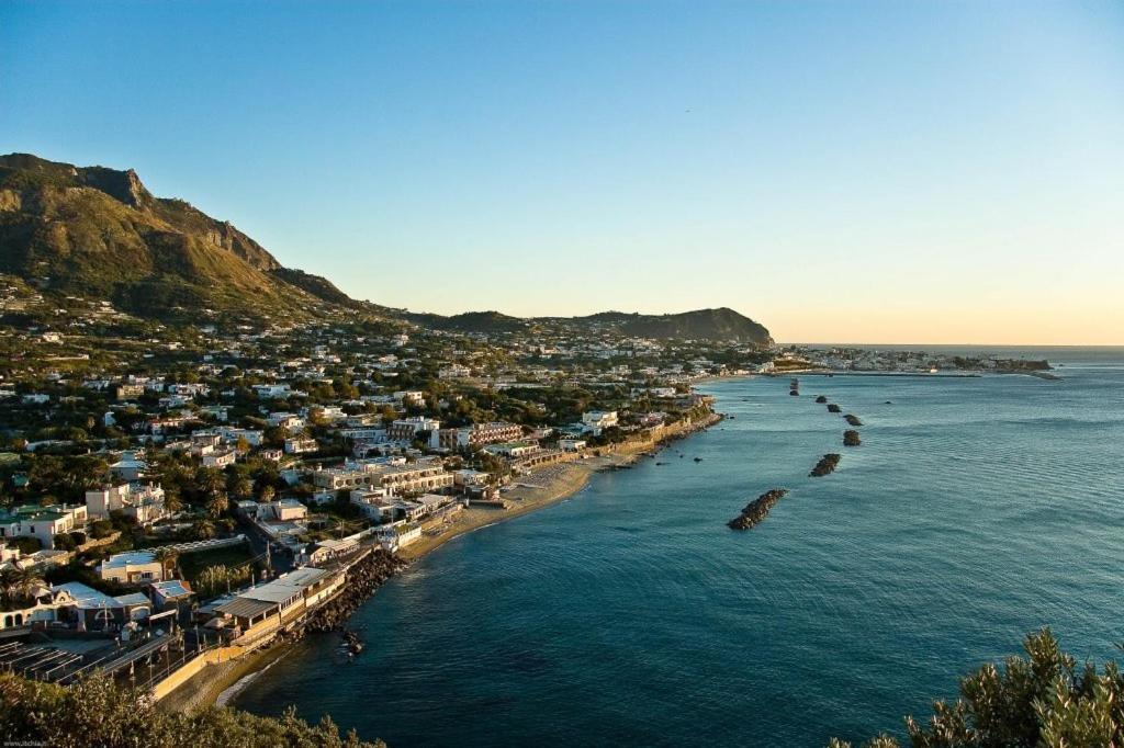 Bed and Breakfast La Bicocca di Annavì Forio di Ischia Esterno foto